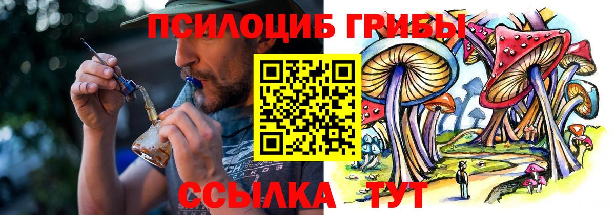 Чебоксары  Галлюциногенные грибы мицелий  Вход с VPN  Псилоцибиновые грибы Psilocybe 
