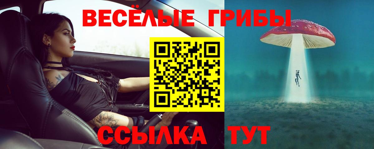 Псилоцибиновые грибы Psilocybine cubensis Чебоксары